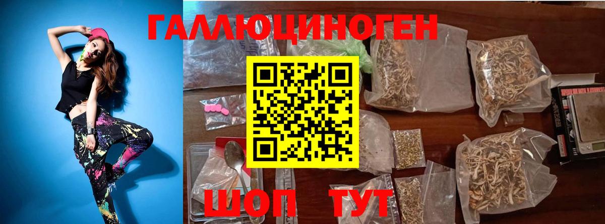 Галлюциногенные грибы Psilocybe Кувандык